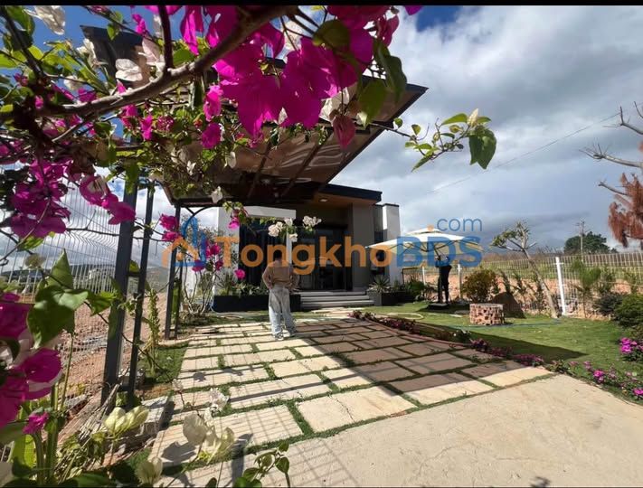 Nhà Vườn Nghỉ Dưỡng Đà Lạt 560m² - Full Nội Thất, Sổ Đỏ Thổ Cư