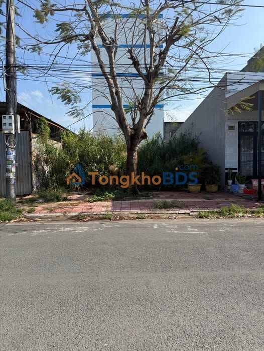 Đất Nền Khu Đô Thị Tài Lộc 90m² - Sổ Hồng Sẵn Sàng