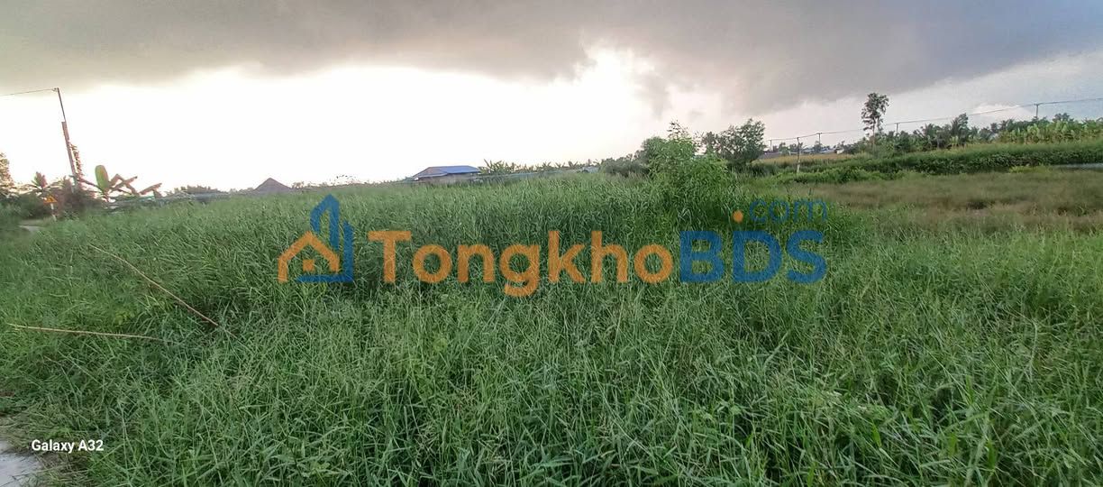 Đất nền 2000m² Huyện Ngọc Hiển - Vị trí đẹp, giá đầu tư