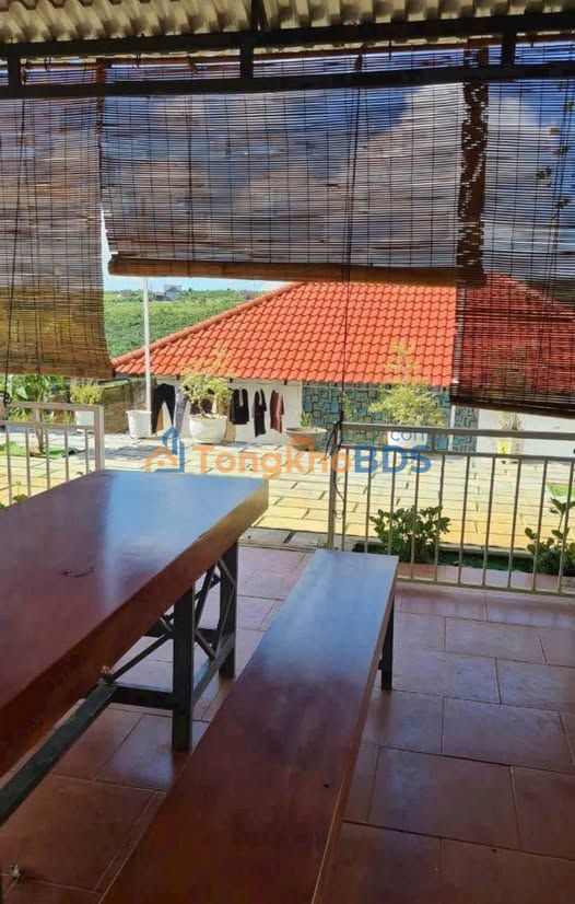 Nhà homestay Nguyễn An Ninh P2 Bảo Lộc 900m² 3.3 tỷ - Sẵn sàng ở ngay