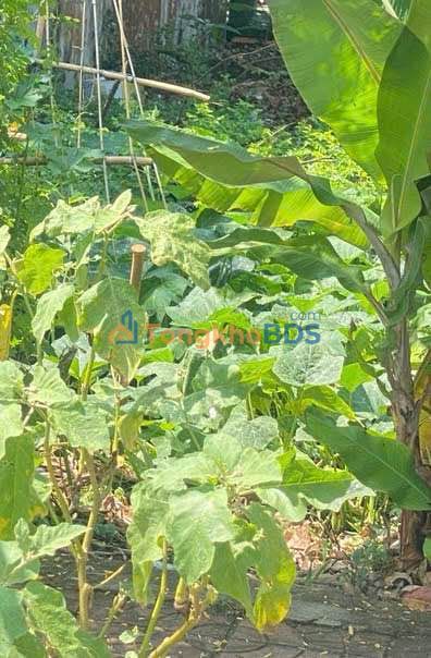 Bán Nền KDC Tân Xuyên, Cà Mau - 122m² Giá Tốt