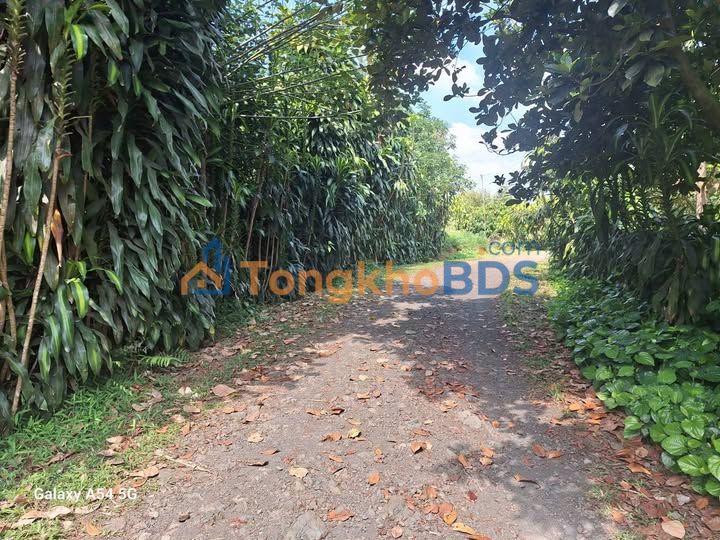 Đất nền Hòa Trung Di Linh 1.116m² 2.3 tỷ - Sổ đỏ chính chủ