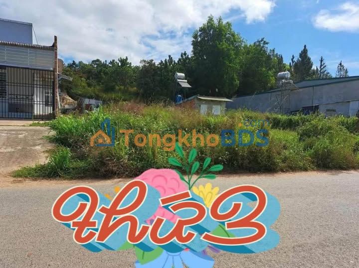 Đất Nghỉ Dưỡng Đơn Dương 277m² Sổ Đỏ - Giá Ngộp Chỉ 1.2 Tỷ