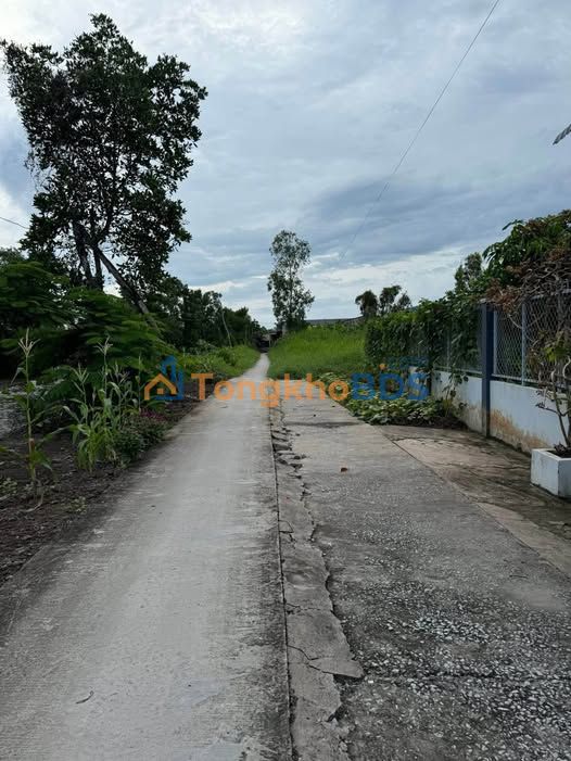 Đất Vườn Xã Lương Thế Trân, Cà Mau 2400m² - 950 Triệu, Gần QL1A