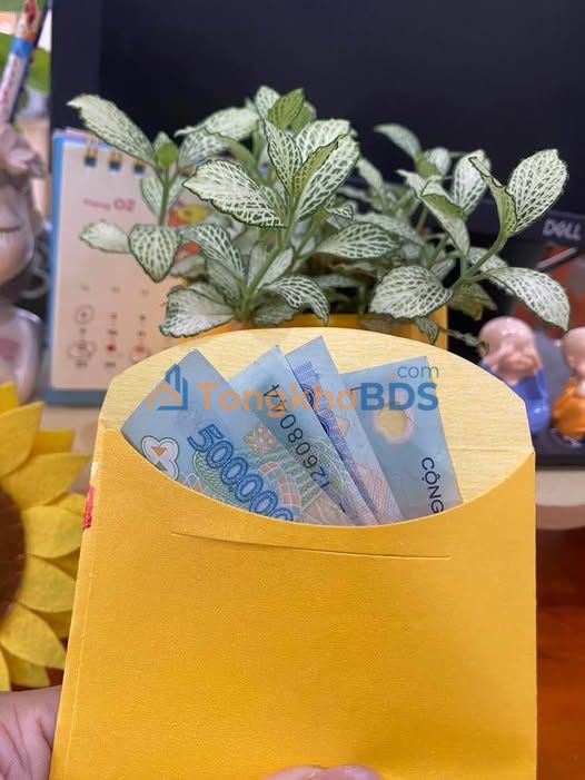 Bán Gấp Đất Vườn 1000m² Mặt Tiền Chợ Hòa Bình Tây Ninh - Sổ Sẵn