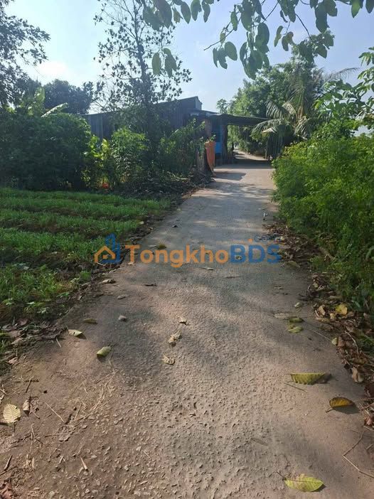 Bán Gấp 14.500m² Đất Ruộng Chính Chủ Tại Long Kiến, Chợ Mới, An Giang