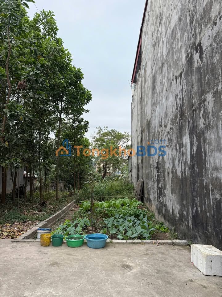 Đất Nền Đồng Hỷ, Thái Nguyên 136m² - Sổ Đỏ Full Thổ Cư, Giá 2 Tỷ