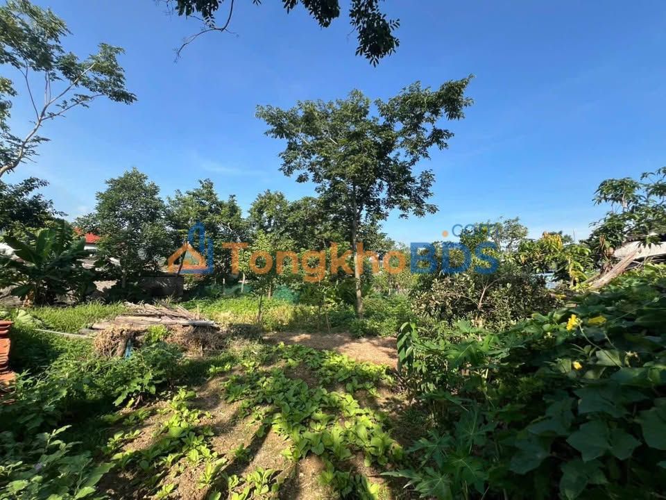 Đất nền Hồ Sơn Tam Đảo 900m² 1.4 tỷ - Sổ đỏ chính chủ