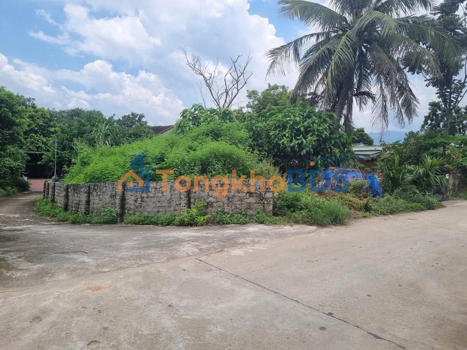 Đất nền Tam Đảo 220m² - Thổ cư 50m² - Kinh doanh đắc lợi