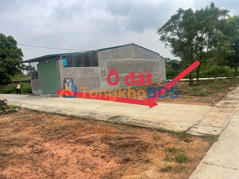 Đất Vĩnh Yên 120m² - Mặt tiền 6m, Sổ Đỏ Sẵn Sàng, Giá 1.5 Tỷ