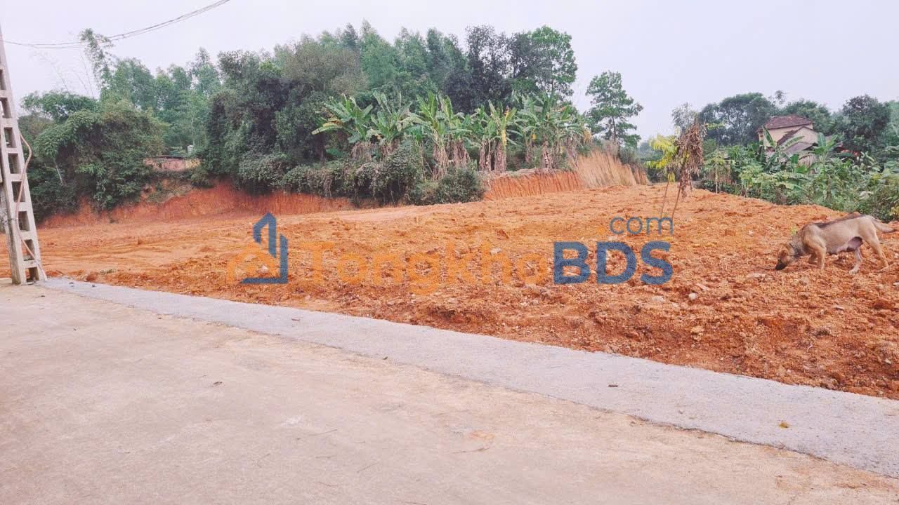 Đất nền Lập Thạch 2300m² - Sẵn sàng đầu tư phân lô, sát KCN Liễn Sơn