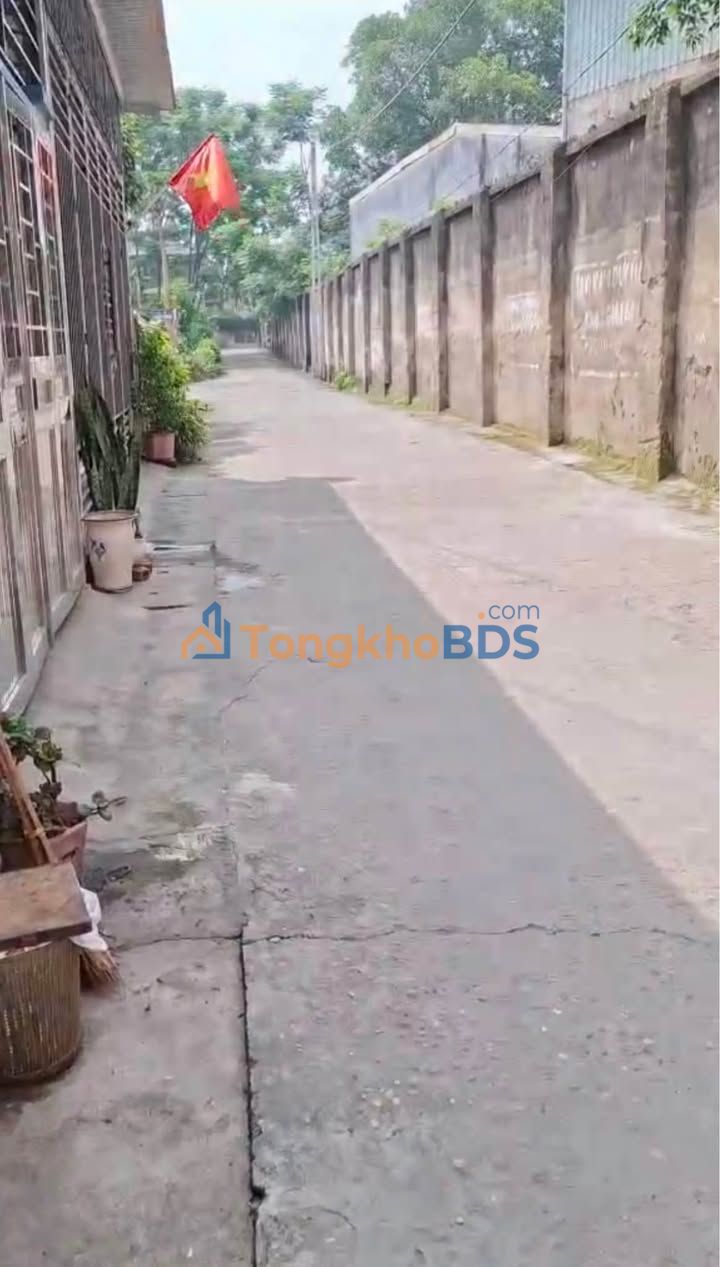 Nhà Cấp 4 Phù Ninh, Phú Thọ - 79m² Mặt Đường Ô Tô Tránh, Giá 1.3 Tỷ