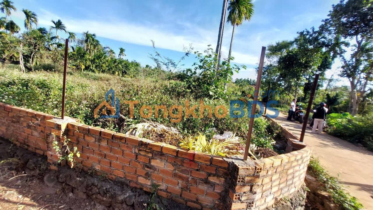 Bán Gấp 2 Lô Đất Vàng 138m² (6x23m) Sổ Hồng Riêng - Phan Thiết