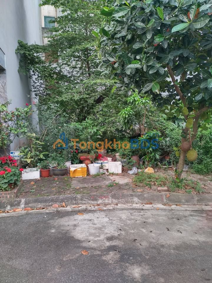 Đất nền góc Việt Hưng, Long Biên 90m² - View công viên, ô tô tránh