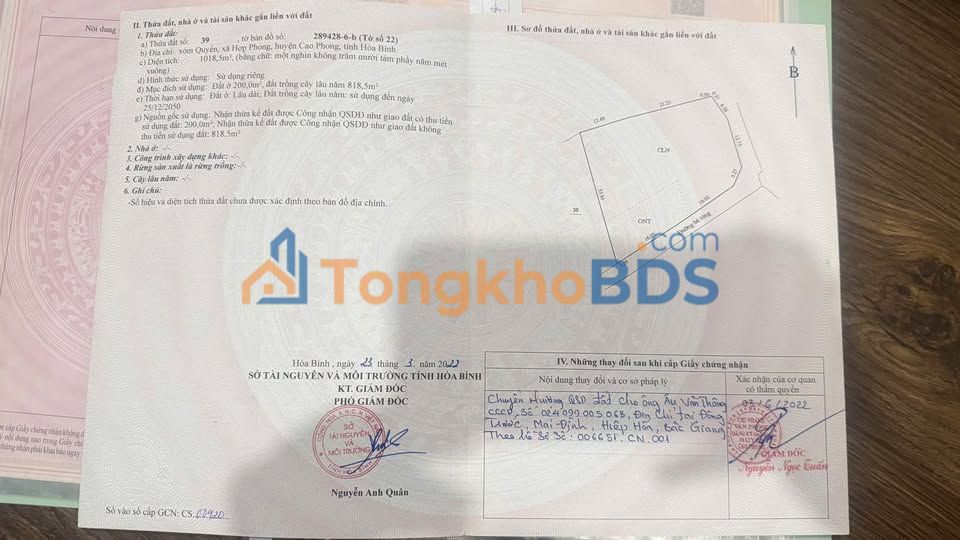 Đất nền Xóm Quyền Hợp Phong 1.018,5m² - Tiềm năng tăng giá