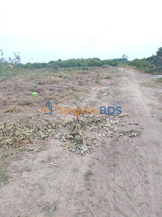 Bán Đất Vườn 860m² Gò Dầu, Tây Ninh - Giá Chỉ 399 Triệu