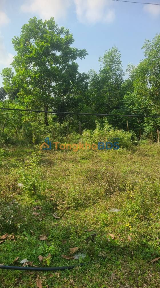 Đất Kiệt Ô Tô Phú Thượng, Đà Nẵng - 100m² Giá Tốt