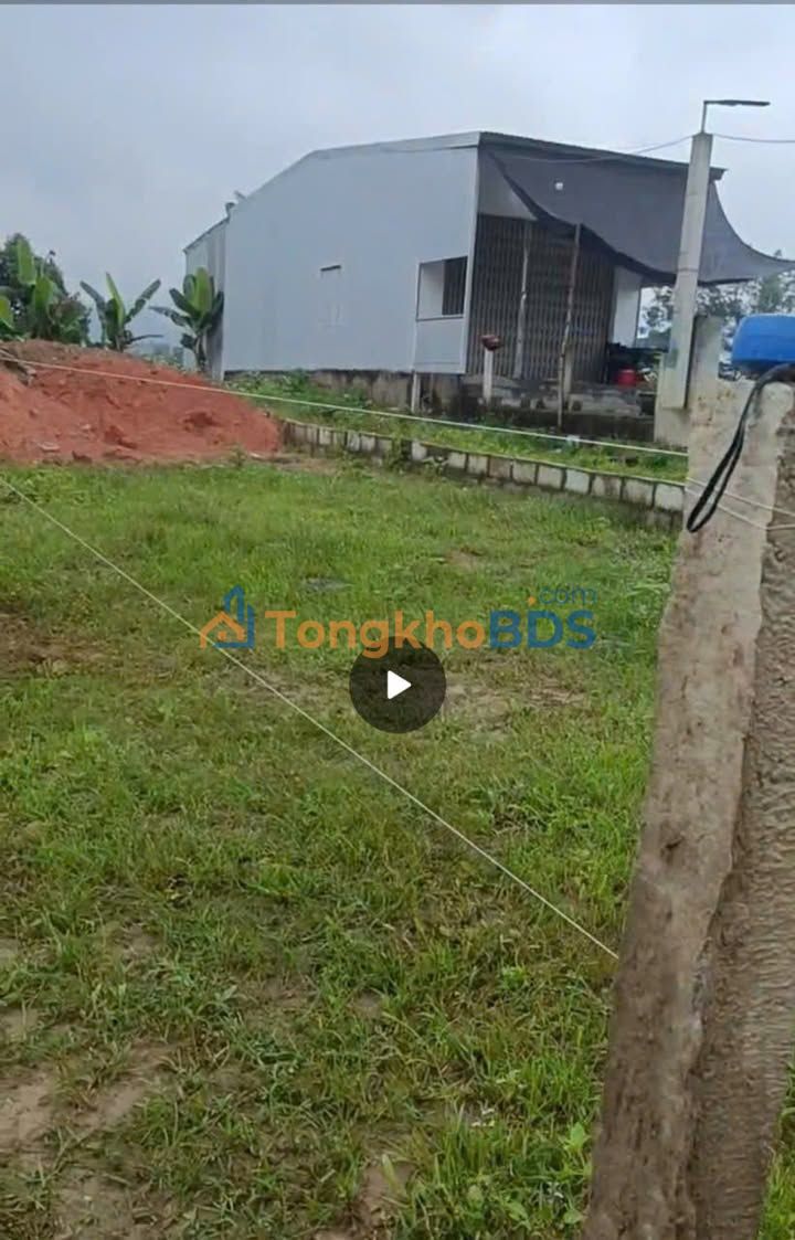 Bán Đất Hòa Phong Đà Nẵng 127m² - Gần Chợ Túy Loan, Giá Tốt