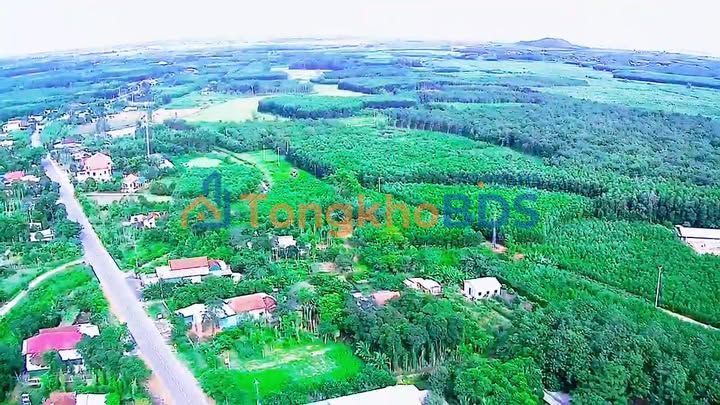 Đất nền Vĩnh Linh, Quảng Trị - 2 Lô Liền Kề 160m² - Sổ Đỏ Sẵn Sàng