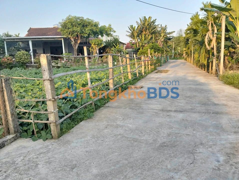 Bán Đất Vườn 645m² Quảng Nam - Giá Thỏa Thuận, Sẵn Xây Nhà Dưỡng Già