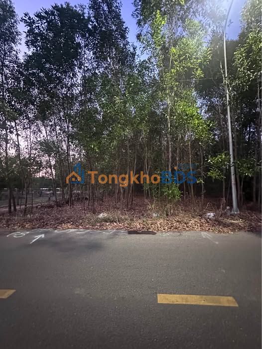 Đất Nền Góc 2 Mặt Tiền Tam An, Long Điền - 2000m² Gần Núi Minh Đạm