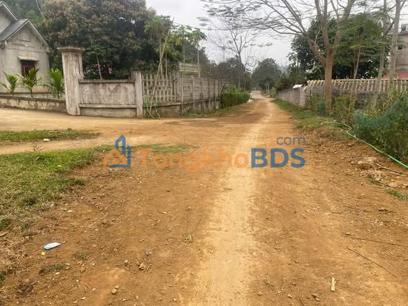 Bán Đất Chính Chủ Phường Cao Ngọc, Từ Sơn 138m² - Sổ Đỏ Sẵn Sàng