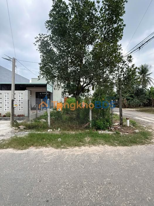 Đất Vàng Gò Dầu - 178.5m² Mặt Tiền Nhựa, Sổ Hồng Sẵn Sàng