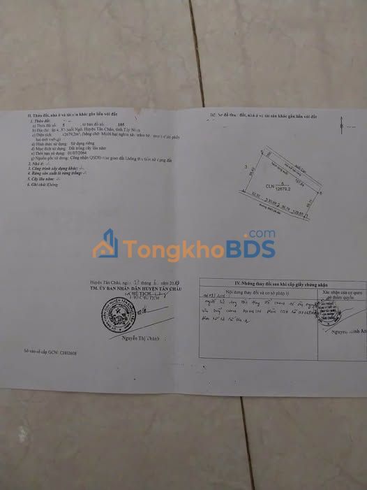 Đất Vườn 22 Tỷ/20.000m² Mặt Tiền Đường Bao La, Tân Châu - Cơ Hội Đầu Tư Vàng