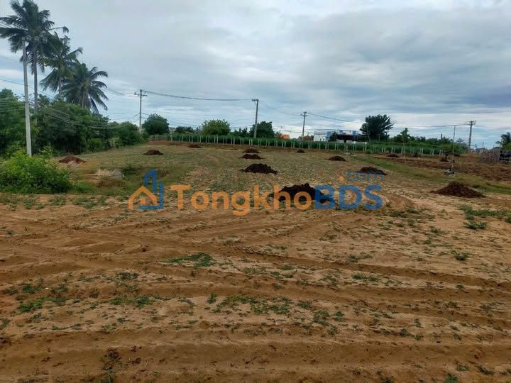 Bán Đất Vườn 4146m² Xã Phước Dinh, Ninh Thuận - Đầu Tư Lý Tưởng