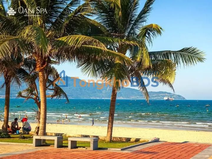 Bán Đất Biển Sơn Trà 87m² - Mặt Tiền 7m5 - Xây 9 Tầng