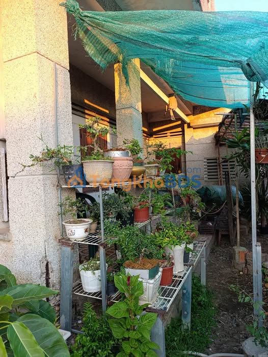 Bán Gấp Nhà Vườn 354m² Thị Trấn Phước Dân, Ninh Thuận - Giá 1.5 Tỷ