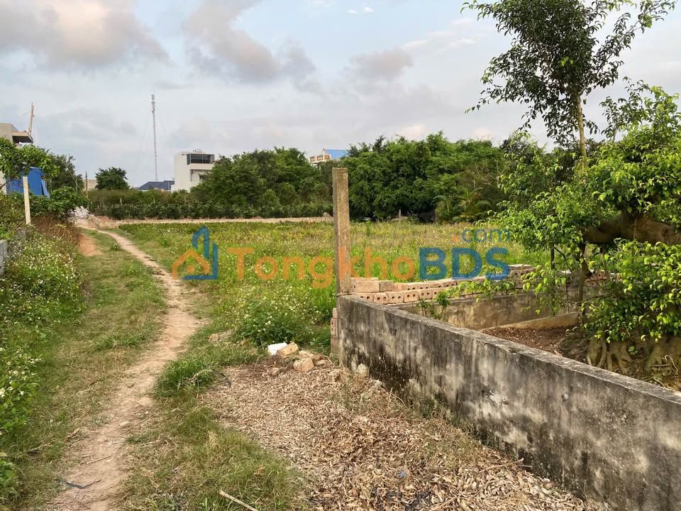 Bán Đất Nam Định 150m² - Hướng Nam Chính Chủ, Sổ Đỏ Rõ Ràng