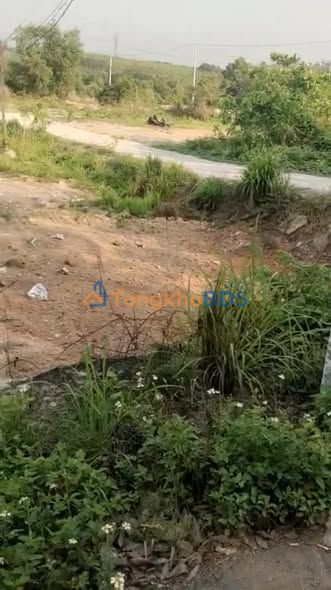 Đất nền Lai Hưng Bàu Bàng Bình Dương - 418m² Thổ cư, Mặt tiền nhựa, Giá tốt