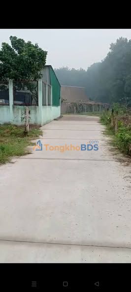 Đất Nền Phú An - Bến Cát 105m² - Sổ Hồng Thổ Cư, Hướng Đông Nam Mát Mẻ