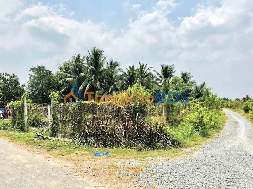 Bán Đất Nền 170m² Xã Nhuận Đức, Củ Chi - Sổ Hồng Riêng, Đường Ô Tô