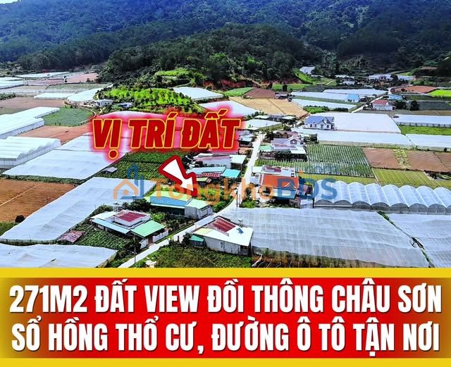 Đất Nền D'ran - Lâm Đồng 271m² Sổ Hồng Sẵn, Giá 1.24 Tỷ