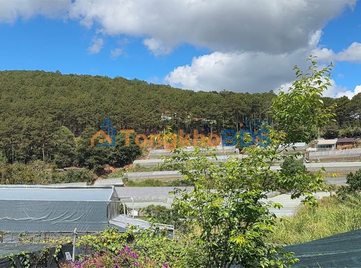 Bán Đất Vườn Đà Lạt 1000m² View Đẹp - Sổ Riêng 6 Tỷ