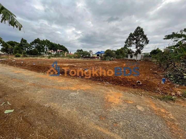 Đất Nền Ia Đal, Kon Tum - Sổ Đỏ Thổ Cư, Giá Chỉ Từ 3xx Triệu