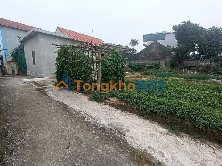 Đất nền An Lão Bình Lục 74-75m² 500 triệu - Đường ô tô vào