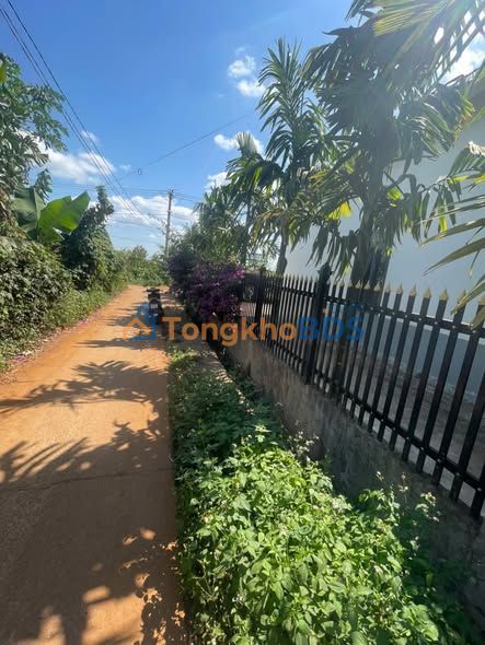 Đất Nền Bình Minh La Gi 135m² Sổ Đỏ, Giá 260 Triệu - Cơ Hội Đầu Tư Vàng