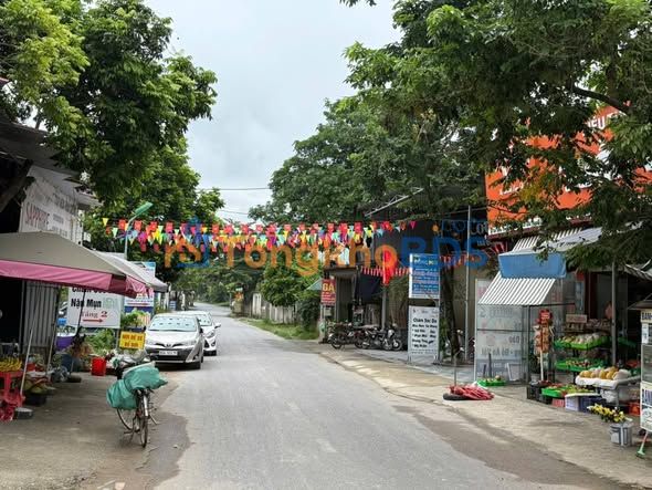 Đất nền Phố Hoa, Bắc Giang 110m² - Vị trí kinh doanh đắc địa, giá chỉ 2 tỷ!