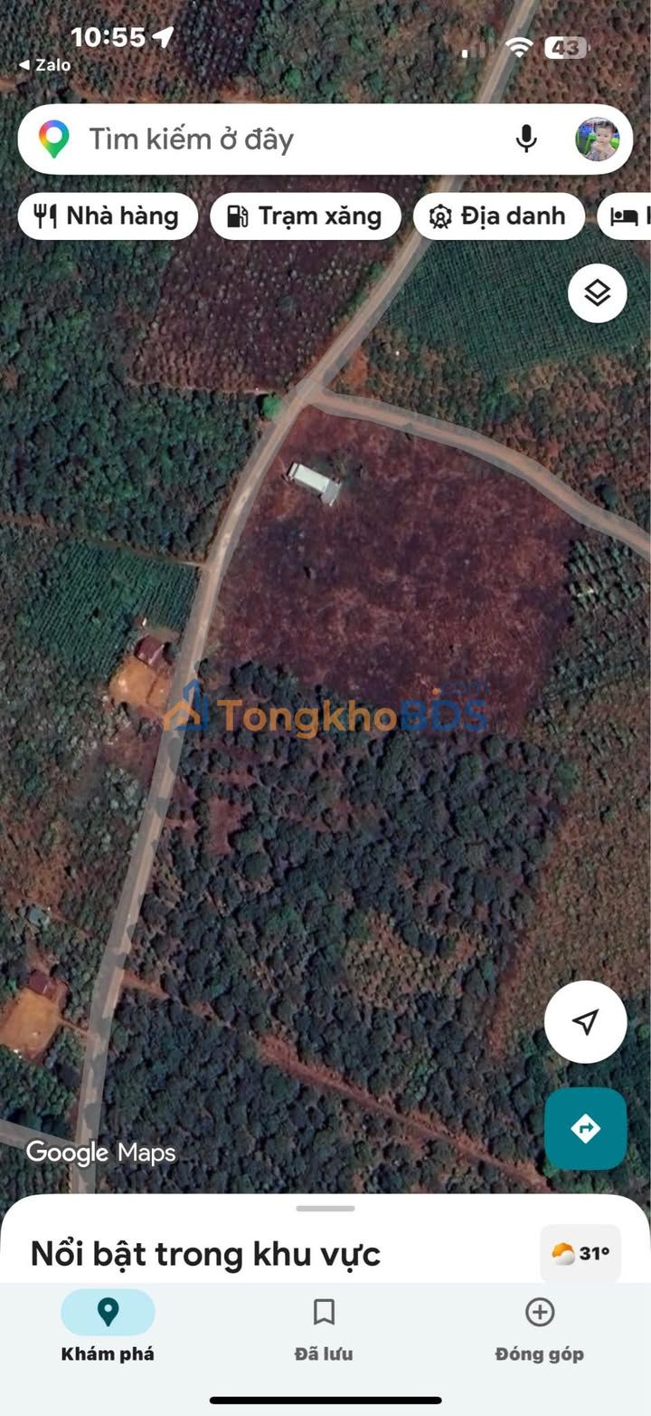 Đất Nền 1000m² Mặt Đường Bê Tông Phường Quảng Thành, Gia Nghĩa - Giá 450 Triệu