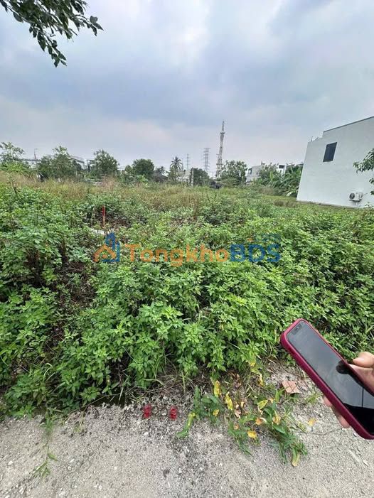 Đất nền MB204 Quảng Hưng 120m² - Vị trí đắc địa, kinh doanh/đầu tư