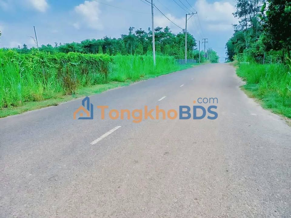 Bán Vườn 13.000m² Mặt Tiền Đường Hiếu Liêm, Vĩnh Cửu - Tiềm Năng Lớn