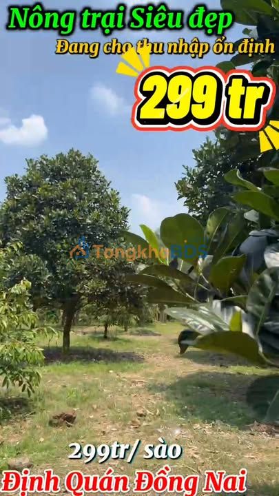 Bán Trang Trại 8ha Định Quán Đồng Nai - Sổ Hồng Riêng, Giá Tốt