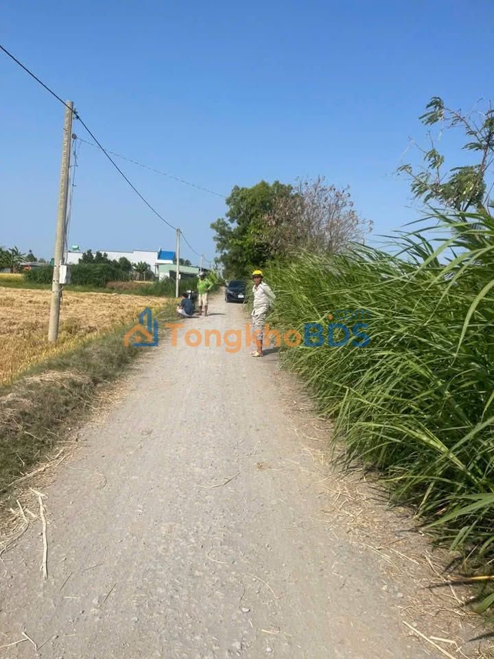 Đất nền Long Bình Gò Công Tây 1.000m² 450 triệu - Đường to ô tô