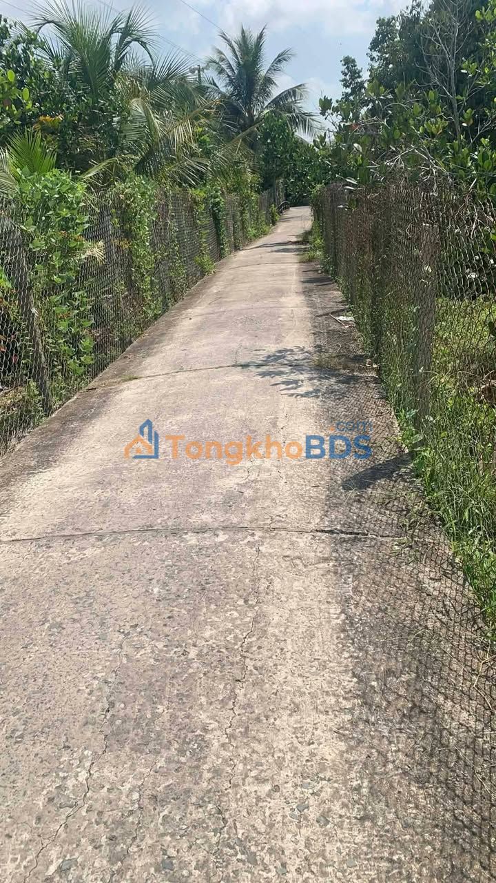 Bán đất mặt tiền xe hơi Xã Thanh Hòa, Cai Lậy - 175m² giá 700 triệu