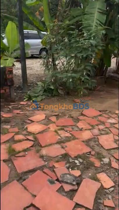 Đất Mặt Tiền Thế Lữ Bình Chánh 368m² Full Thổ Cư - Giá 6.5 Tỷ