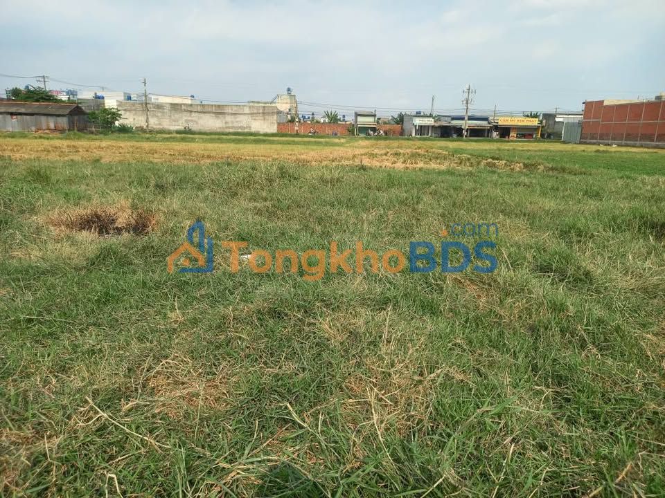 Đất Nền Đức Hòa Hạ 95m² - Sổ Riêng, Gần KCN Tân Đức - Giá 900 Triệu