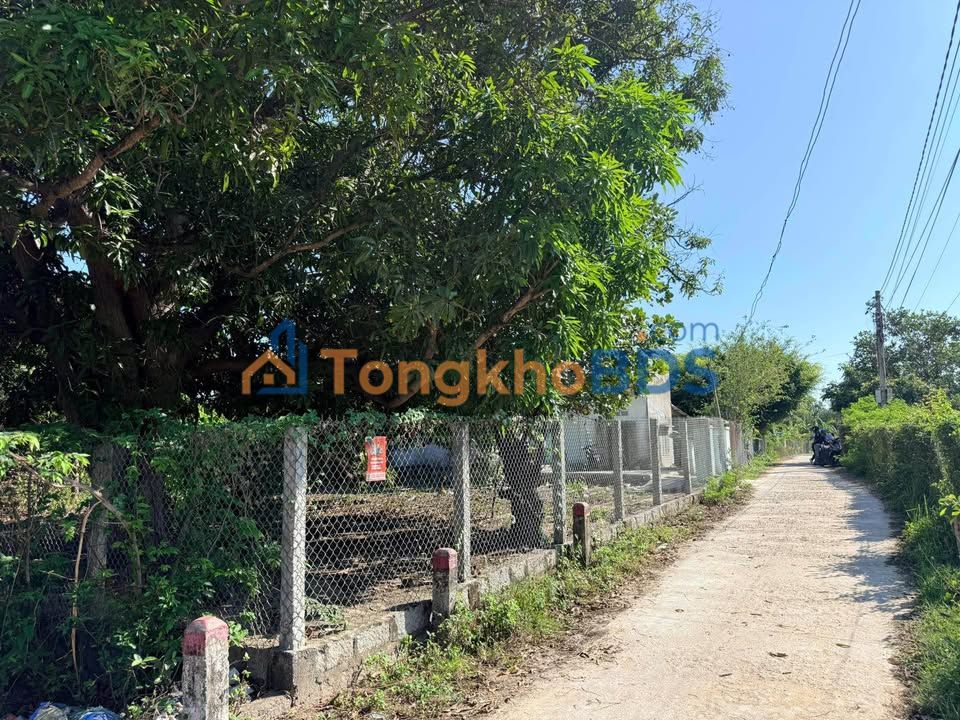 Đất nền Thôn Tân Dân 1 Nha Trang 1.600m² 8 tỷ - Đường ô tô